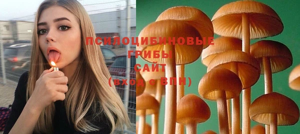 PSILOCYBIN Верхнеуральск