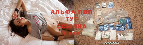 тгк Богородицк