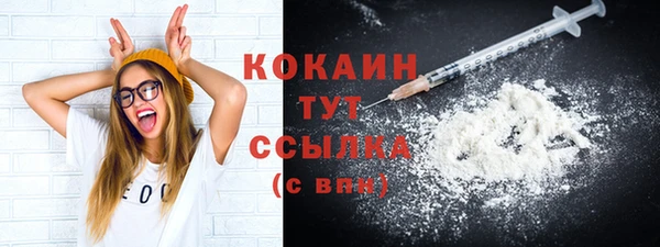 прущий лед Бородино