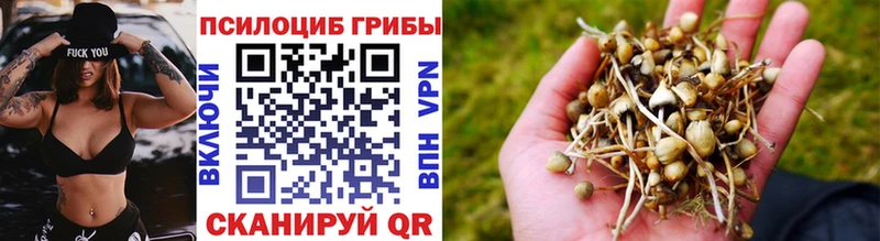 Купить  Кудымкар  Галлюциногенные грибы мухоморы 